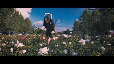 Policy Center Awareness Video